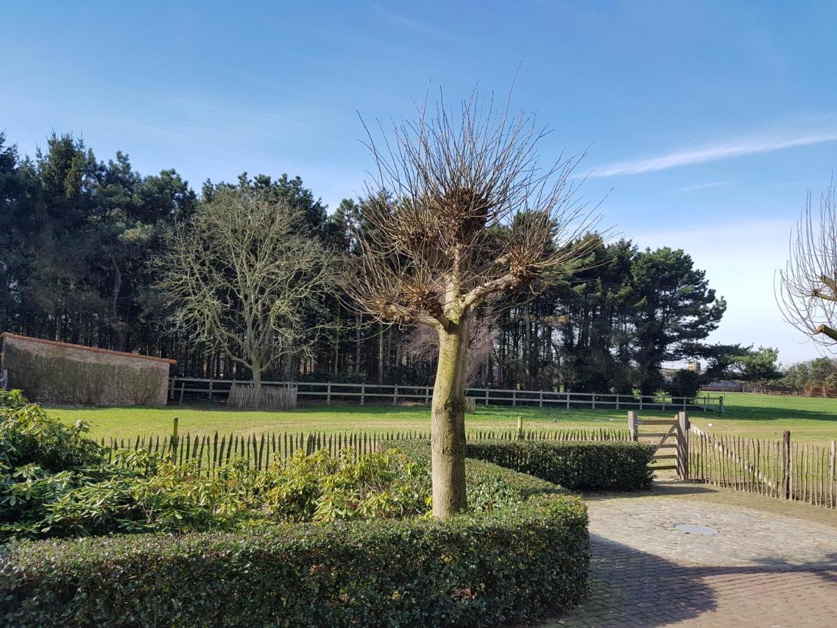 B&B Bergenhof Hoogstraten Exterior foto